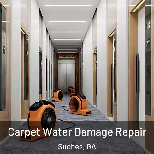  Carpet Water Damage Repair Suches, GA