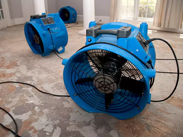 Water Damage Reconstruction in Suches