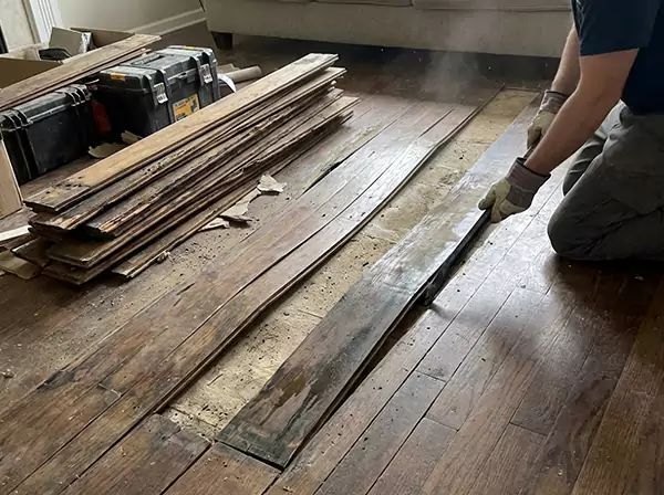 Water Damage Drying in Suches