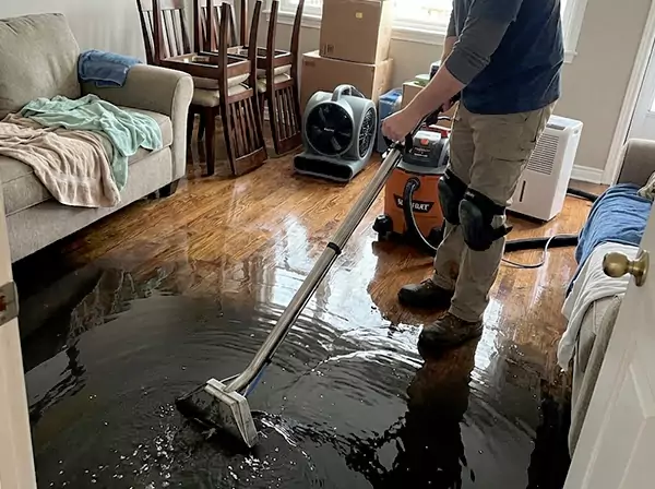 Water Leak Cleanup in Suches, GA