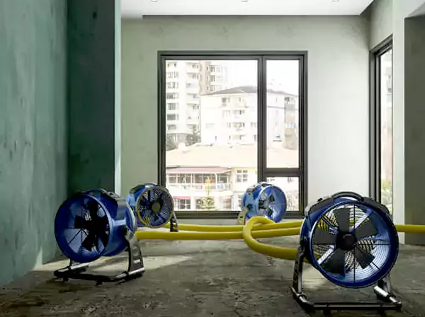 Water Removal Services in Suches