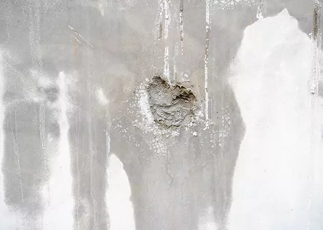Your Mold Mitigation Solutions Partner in Suches, GA