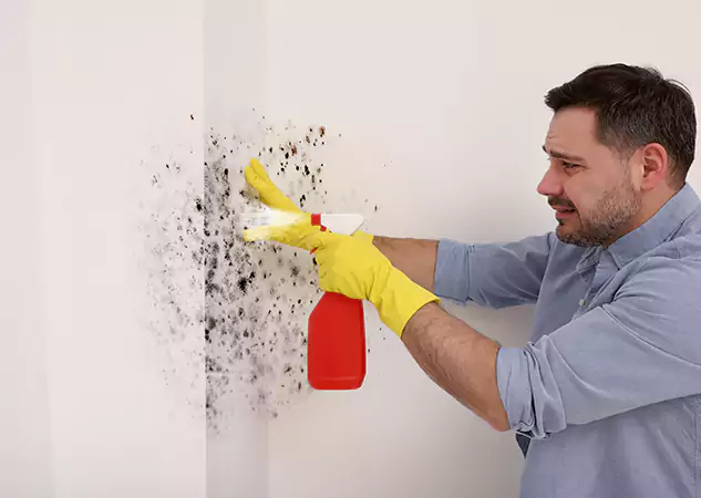 Your Water Mold Fire Restoration Partner in Suches, GA