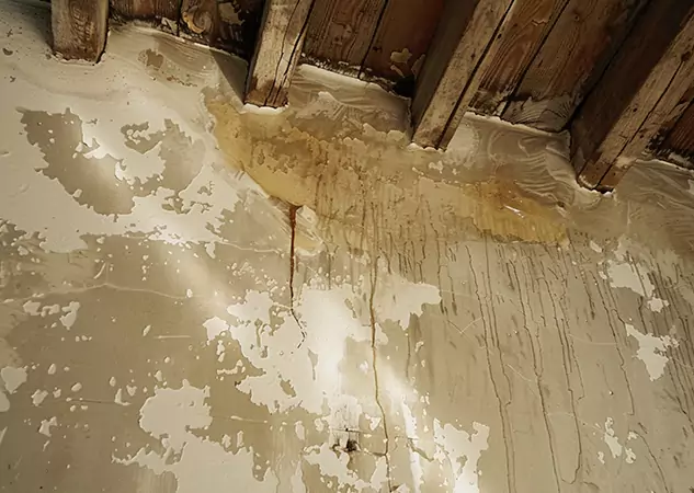 Your Trusted Restoration Company in Suches, GA