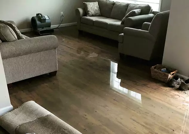 Your Trusted Restoration Company in Suches, GA
