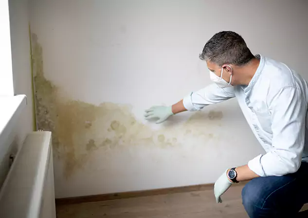 Reach Our Remediation Team Before Damage Grows in Suches, GA!