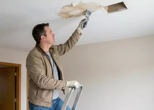 Your Ceiling Damage Repair Experts in Suches, GA