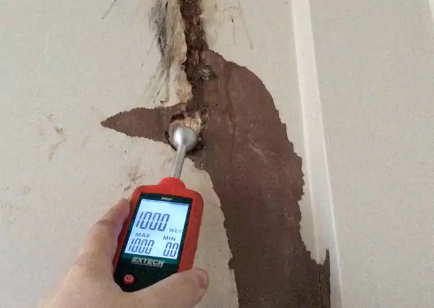 Your Water Damage Assessment Partner in Suches, GA