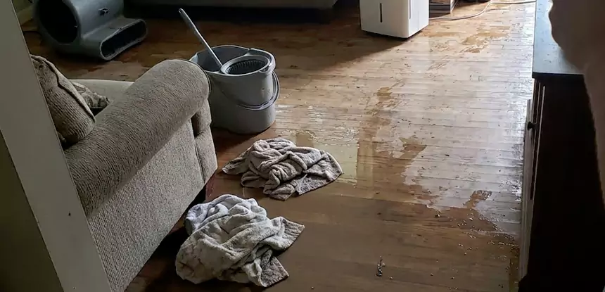 Professional Basement Water Remediation Services in Suches, GA