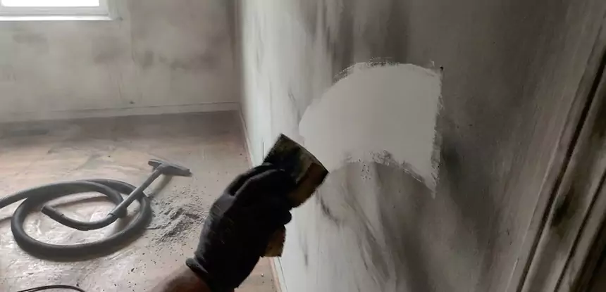 Professional Water and Fire Damage Restoration Services in Suches, GA