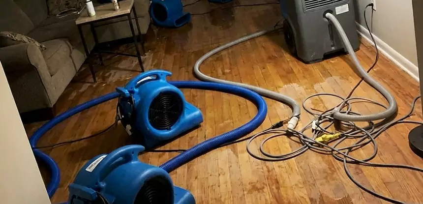 Basement Flood Restoration Services in Suches