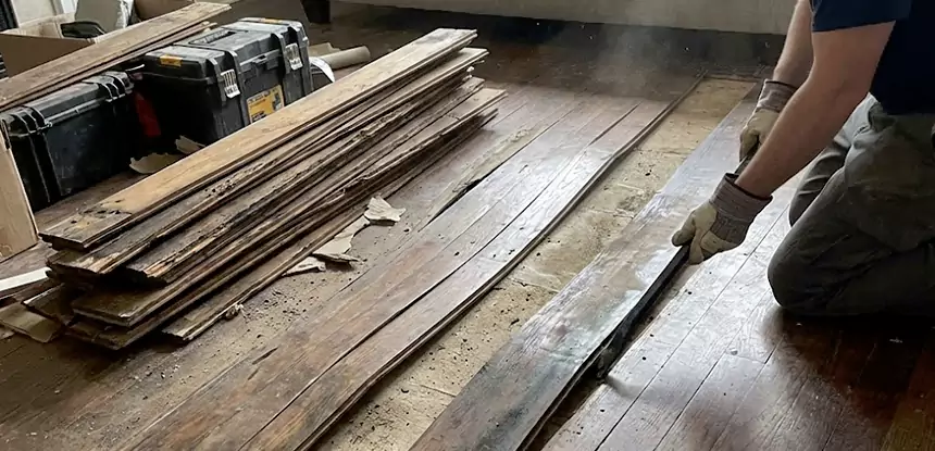 Wood Rot and Fungus Repair in Suches