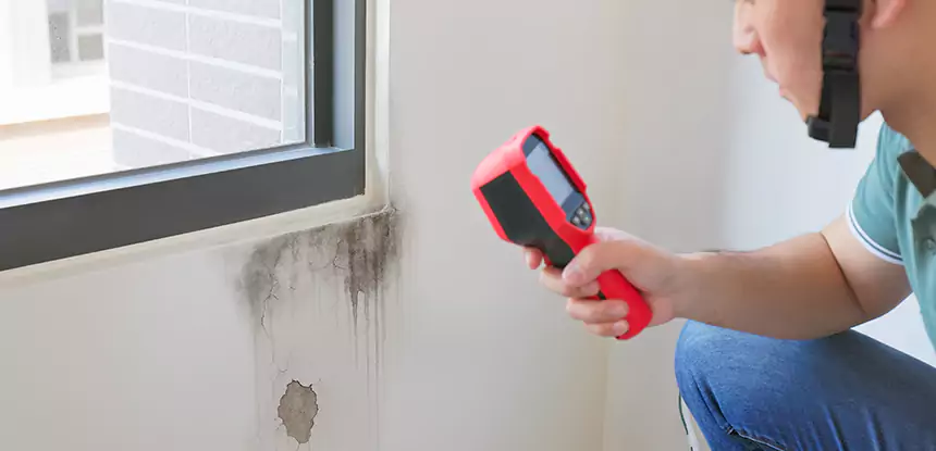 Wall Texture Repair After Mold in Suches