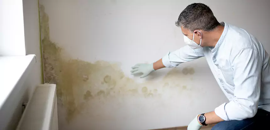 Mold and Water Damage Repair in Suches