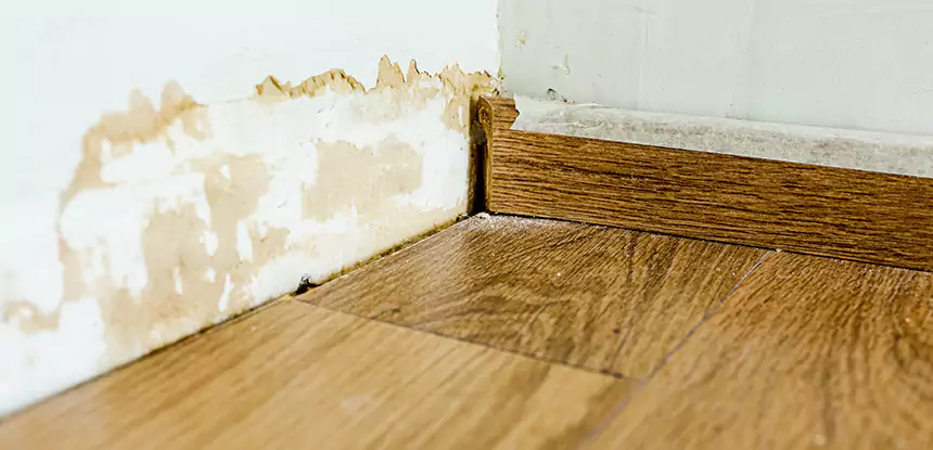 Professional Fix Water Damaged Wood Services in Suches, GA