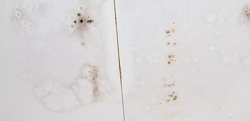 Professional Water Stain Repair Services in Suches, GA