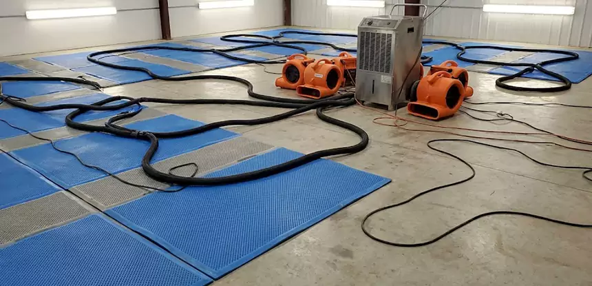 Professional Flooded Carpet Drying Services in Suches, GA