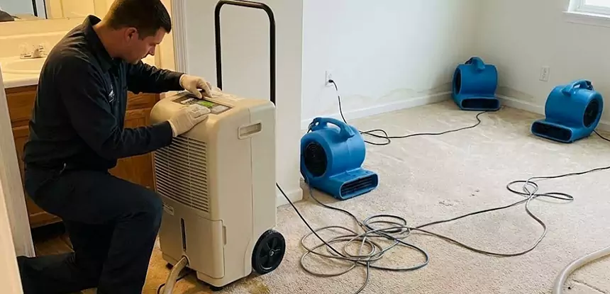 Professional Wet Carpet Removal Services in Suches, GA