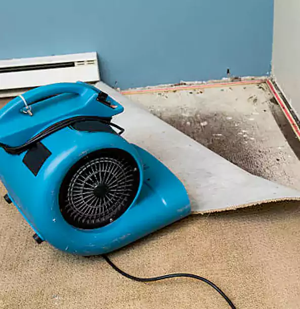 Why Suches Trusts Suches Restoration Pro for Carpet Flood Recovery?