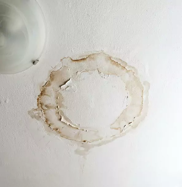 Why Suches Property Owners Choose Suches Restoration Pro for Ceiling Water Damage Restoration?