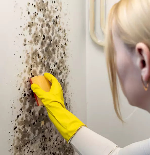 Why Suches Restoration Pro Leads Mold Remediation in Suches?