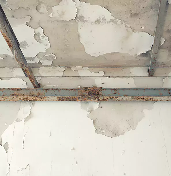 Why Suches Restoration Pro Is the Right Choice in Suches, GA?