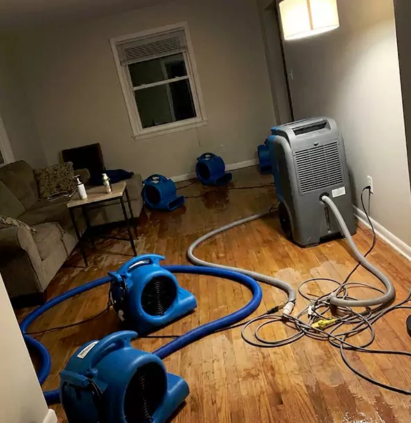 Why Suches Property Owners Rely on Suches Restoration Pro for Remediation?