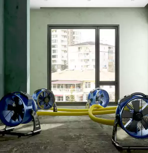 Why Suches Property Owners Trust Suches Restoration Pro for Water Damage Drying?