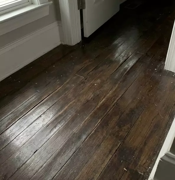 Why Suches Homeowners Trust Suches Restoration Pro to Fix Water Damaged Wood?