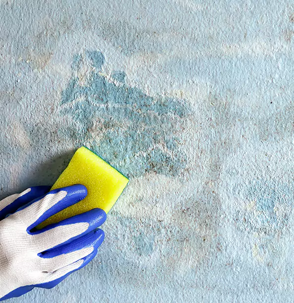 Why Suches Restoration Pro Is the Right Choice in Suches, GA?