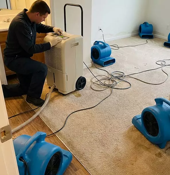 Why Suches Homeowners and Businesses Trust Suches Restoration Pro for Carpet Drying?