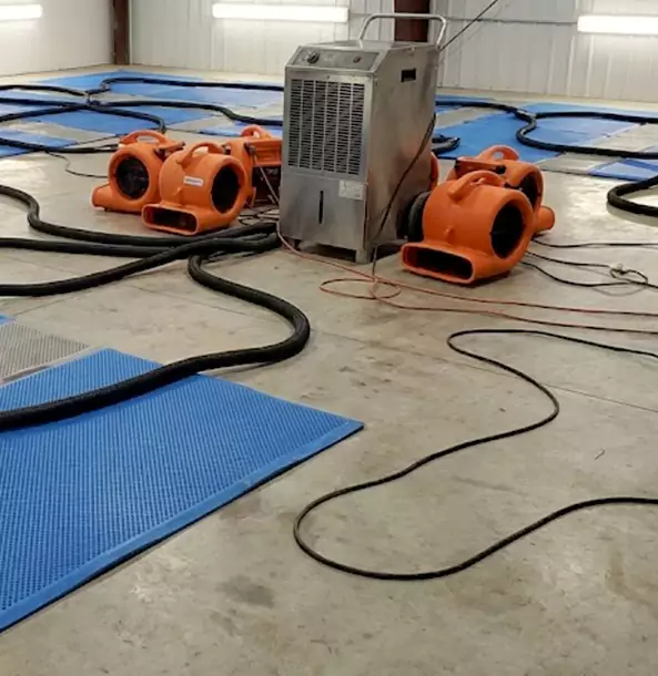 Why Suches Homeowners and Businesses Choose Suches Restoration Pro for Wet Carpet Removal?