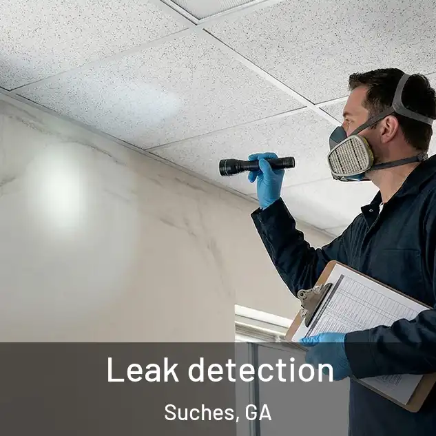  Leak detection Suches, GA