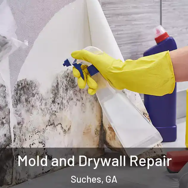  Mold and Drywall Repair Suches, GA