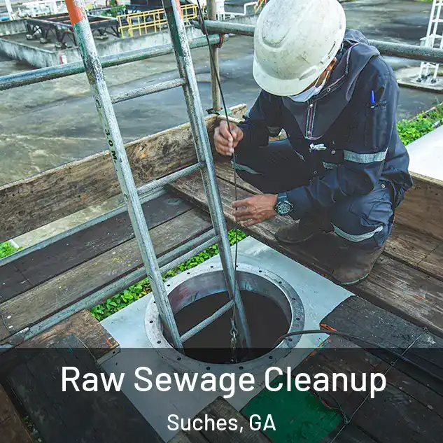  Raw Sewage Cleanup Suches, GA
