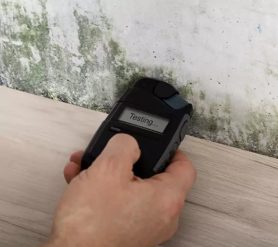 Mold Remediation Service Suches