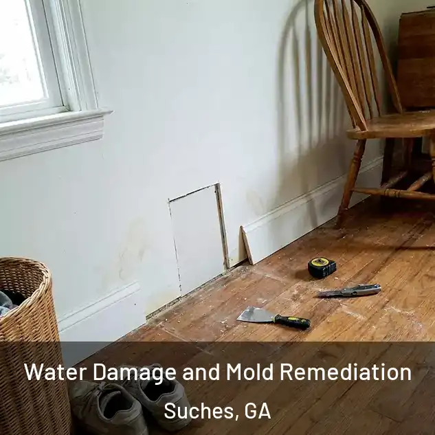  Water Damage and Mold Remediation Suches, GA