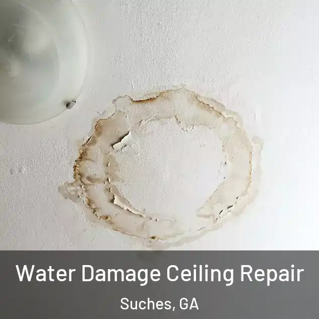  Water Damage Ceiling Repair Suches, GA