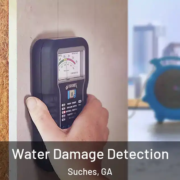  Water Damage Detection Suches, GA