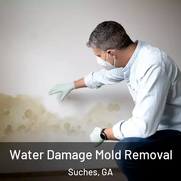  Water Damage Mold Removal Suches, GA
