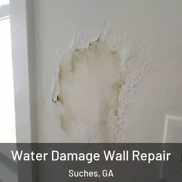 Water Damage Wall Repair Suches, GA