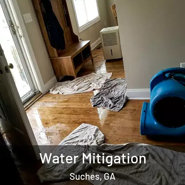  Water Mitigation Suches, GA