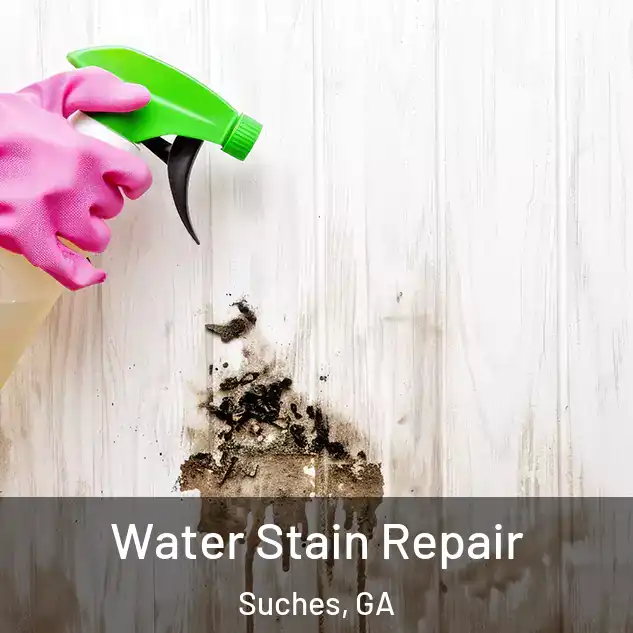  Water Stain Repair Suches, GA