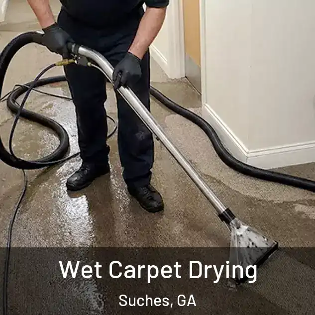  Wet Carpet Drying Suches, GA