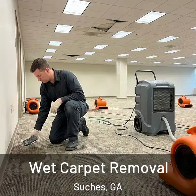  Wet Carpet Removal Suches, GA